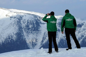 come diventare guardia forestale